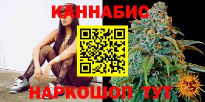Альфа ПВП Аргун
