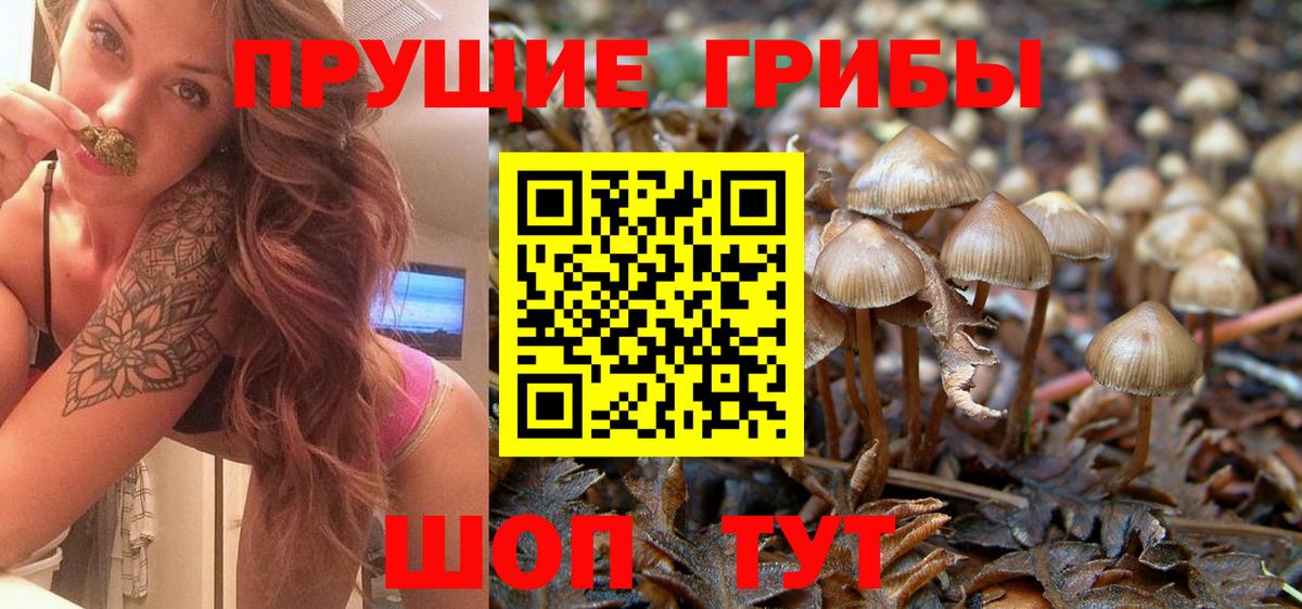 Белогорск  Псилоцибиновые грибы Psilocybine cubensis  цена   Вход с VPN  Галлюциногенные грибы GOLDEN TEACHER 